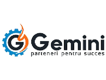 Logo Gemini Market