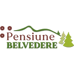 Realizare web design pentru site Pensiunea Belvedere